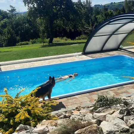 Spokojne Wzgorze *